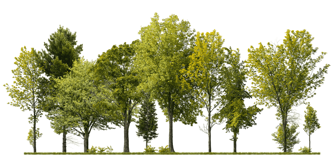 Trees on Grass
